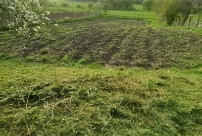 Casă cu 3 camere în Central - 5