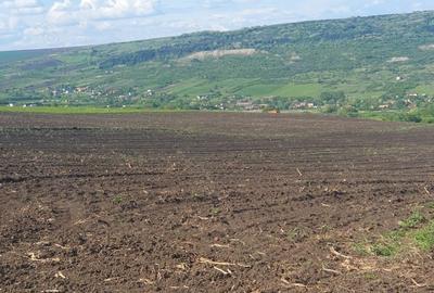 Teren de 16100 mp, în Iris