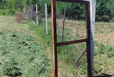 Teren intravilan de 888 mp, în Paleu - 2