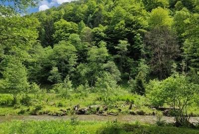 Teren Construcții intravilan de 1775 mp, în Sătic - 16