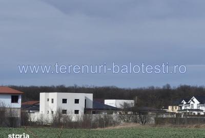 Teren de 540 mp, în Stănișești - 8