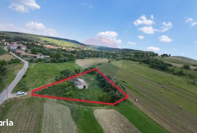 Teren de 2539 mp, în Vânători