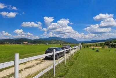 Casă individuală cu 3 camere cu Teren 1640 Mp în Exterior Est - 14