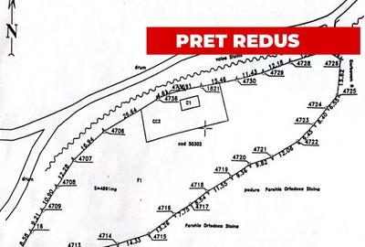 Casă individuală cu 4 camere cu Teren 4891 Mp în Stolna - 11