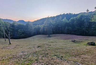 Teren de 7000 mp, în Grădiștea de Munte - 4