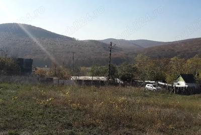 Teren de 1500 mp, în Telița - 2