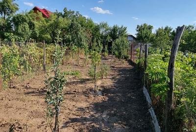 Casă cu 5 camere cu Teren 458 Mp în Caracal - 4