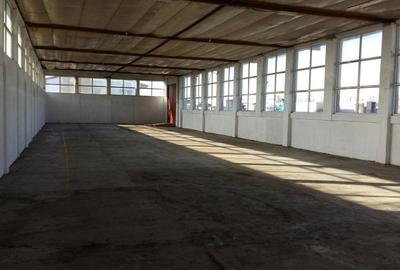 Spațiu industrial, de 680 mp, în Anda - 5