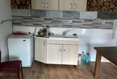 Casă cu 3 camere în Poiana Mărului - 7