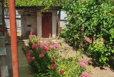 Casă individuală cu 3 camere cu Teren 433 Mp în Central - 4