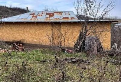 Casă cu 2 camere în Bursuci