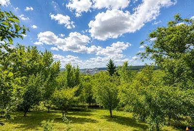 Casă cu 1 camere cu Teren 2300 Mp în Tudor