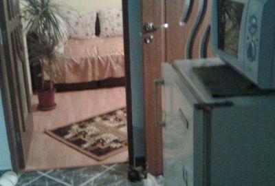 Apartament cu 2 camere semidecomandat în Blejoi - 2