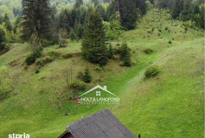 Teren de 7.22 mp, în Rucăr