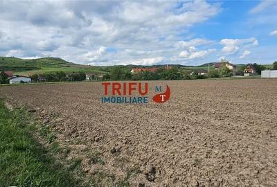 Spațiu comercial, în Ighiu - 3