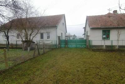 Casă cu 3 camere cu Teren 3100 Mp în Birchiș