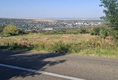 Teren de 5000 mp, în Central - 7