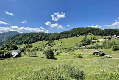 Teren Construcții intravilan de 12041 mp, în Dâmbovicioara - 6