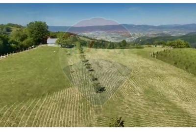 Teren agricol intravilan de 20170 mp, în Șuncuiuș - 4