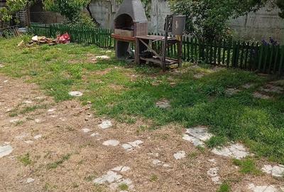 Casă cu Teren 1500 Mp în Mircea Vodă - 8