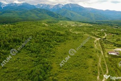 Teren în Porumbacu de Sus - 5