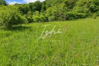 Teren agricol extravilan de 5967 mp, în Tălmaciu - 3