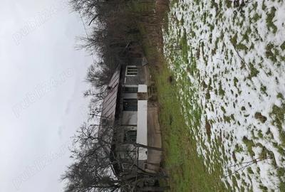 Casă cu Teren 3500 Mp în Rădești - 3