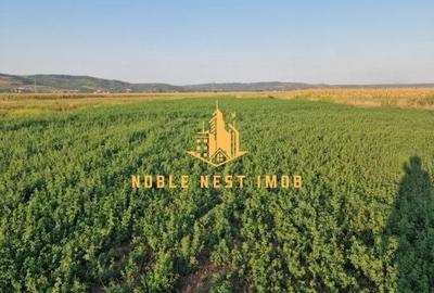 Teren de 2353 mp, în Călinești