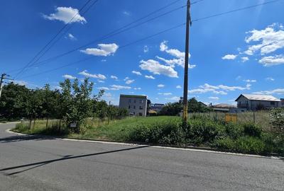 Teren Construcții intravilan de 603 mp, în Valea Lupului - 1
