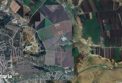 Teren de 15600 mp, în Central
