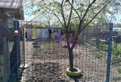 Casă individuală cu 5 camere cu Teren 958 Mp în Tineretului - 34