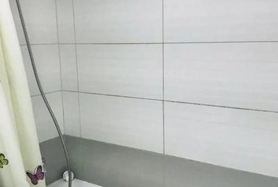 Garsonieră decomandată în Buziașului