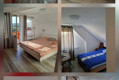 Hotel/Pensiune, de 15 mp, în Bereni