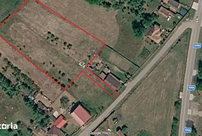 Teren de 3834 mp, în Vultureni - 2