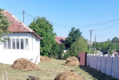 Casă cu 3 camere cu Teren 1350 Mp în Cervenița - 5