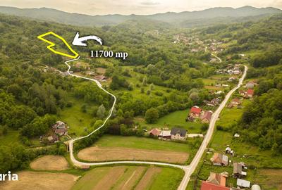 Teren de 11600 mp, în Valea