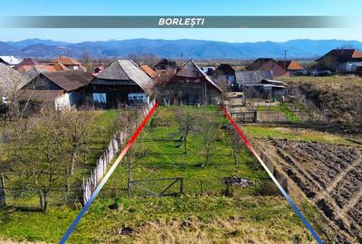 Casă cu 3 camere cu Teren 3724 Mp în Borlești - 19