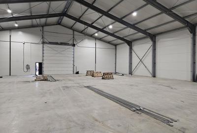 Spațiu industrial, de 280 mp, în Cernica - 3