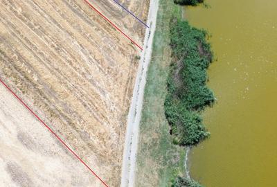 Teren Construcții extravilan de 6500 mp, în Frumușani - 8