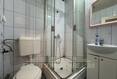 Apartament cu 2 camere semidecomandat, mobilat în Cetate - 7