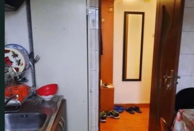 Apartament cu 2 camere semidecomandat în Brazda lui Novac
