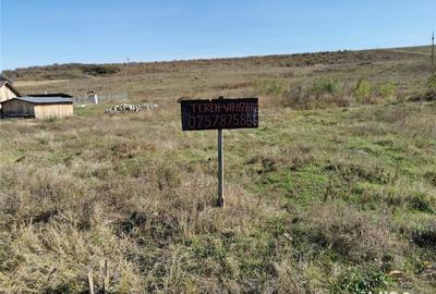 Teren de 5000 mp, în Ciurea - 1