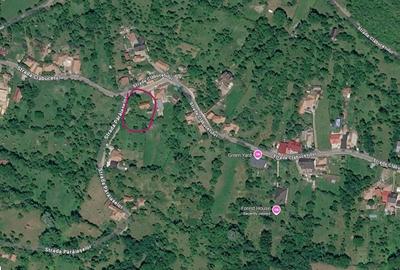 Teren de 1050 mp, în Valea Doftanei - 1