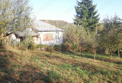 Casă cu 3 camere cu Teren 25000 Mp în Călinești - 5