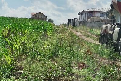 Teren de 2700 mp, în Dobreni - 9