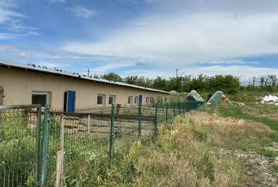 Proprietate specială, de 4,850 mp, în Vitănești - 7
