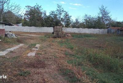 Casă cu 4 camere cu Teren 2008 Mp în Bordei Verde - 4