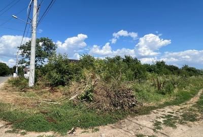 Teren Construcții intravilan de 7500 mp, în Ogrezeni - 3