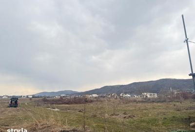 Teren de 3000 mp, în Aninoasa - 14