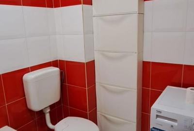 Apartament cu 2 camere decomandat în Roșu - 1